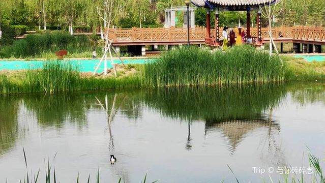 Beichuan River Wetland Park