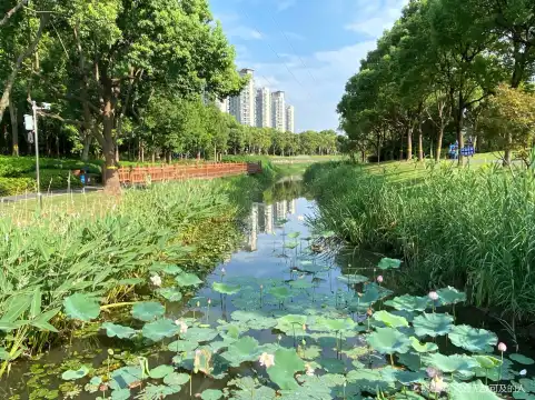 Hotels near Dahuabei Park