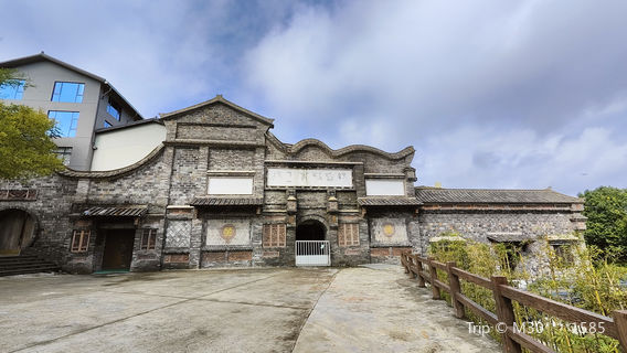 Green Snow Bud White Tea Base