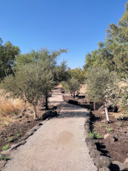 Nahal Meshushim Nature Reserve