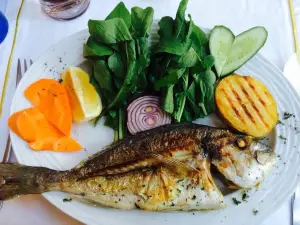 Sultanahmet Fish House, Istanbul Restaurant, Dining