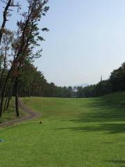 Miyazaki Public Golf Co., Ltd.
