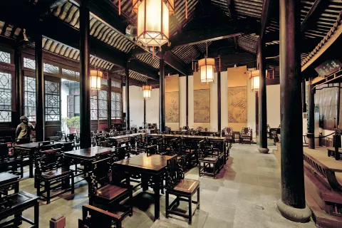 Suzhou Tea Tasting