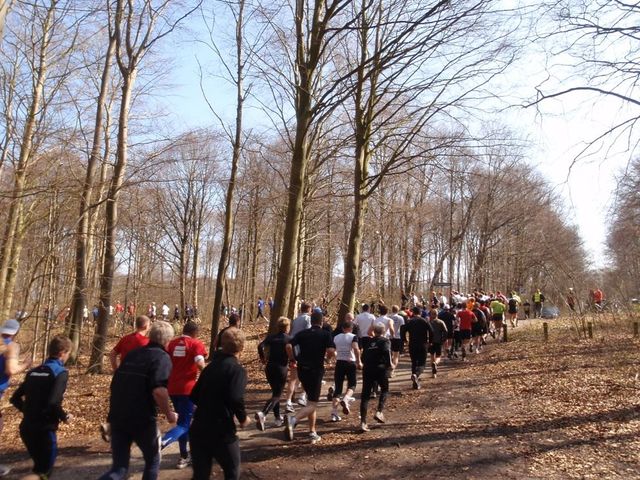 Aalborg Brutal Marathon | Aalborg