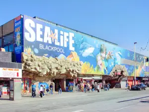 SEA LIFE Blackpool