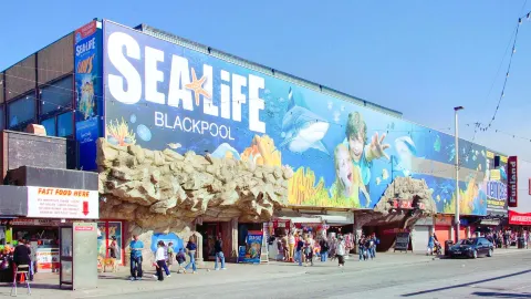 Sea Life Blackpool attraction in 布萊克浦