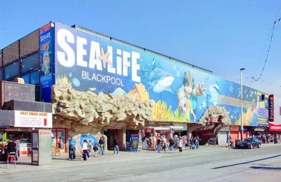 Sea Life Blackpool門票小童