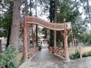 Fiza Gat Park