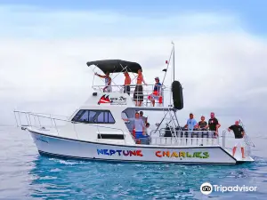 Manta Ray Dives of Hawai‘i
