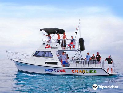 Manta Ray Dives of Hawai‘i