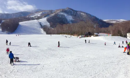 Sunlaiva滑雪場