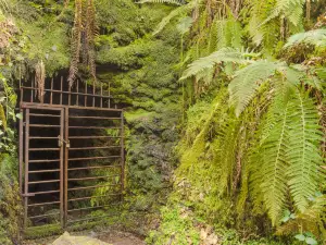 National Trust - Lydford Gorge