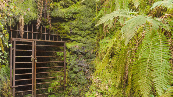 National Trust - Lydford Gorge