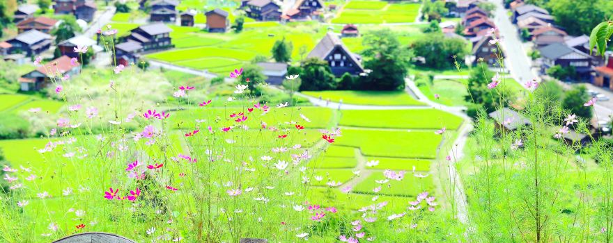 荻町城跡展望台