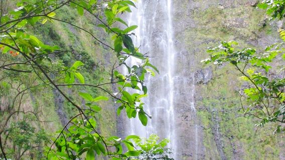 Hike Maui