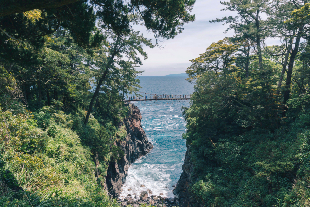 東京+伊豆+城崎海岸+伊豆國全景公園+伊豆仙人掌公園一日遊