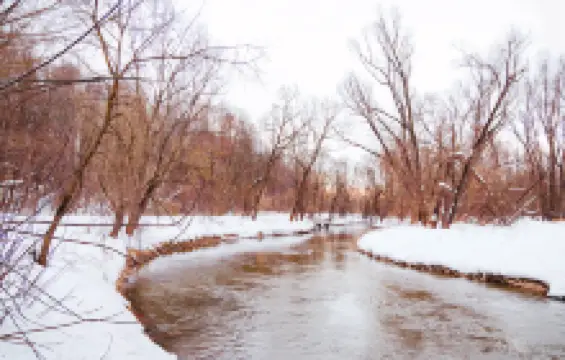 Национальный парк «Лосиный остров»