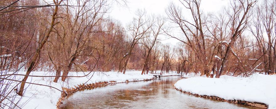 National Park «Elk Island»