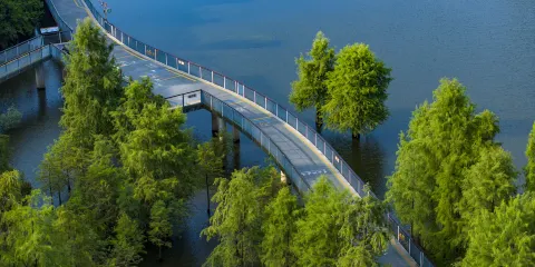 青山湖