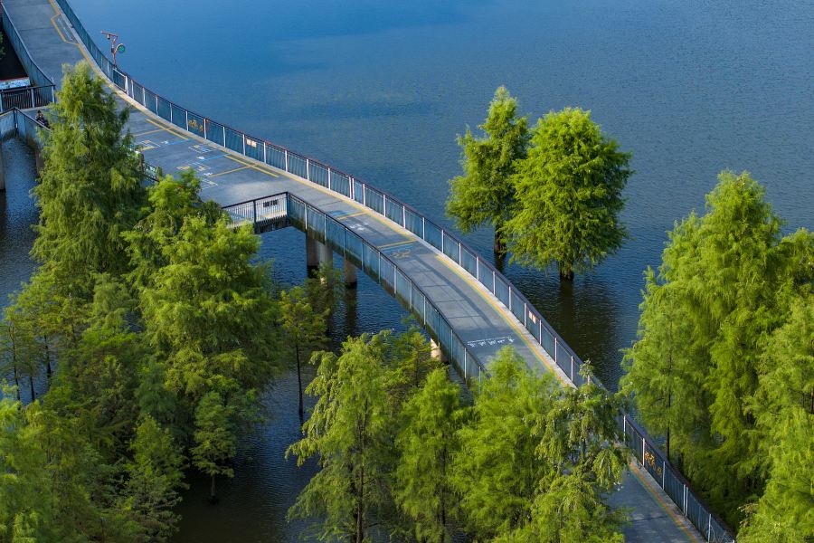 青山湖