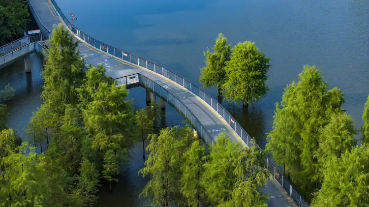 Hotels near Qingshan Lake