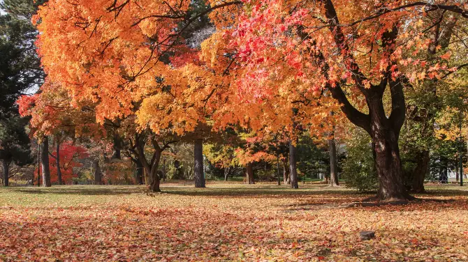 3_北海道大學