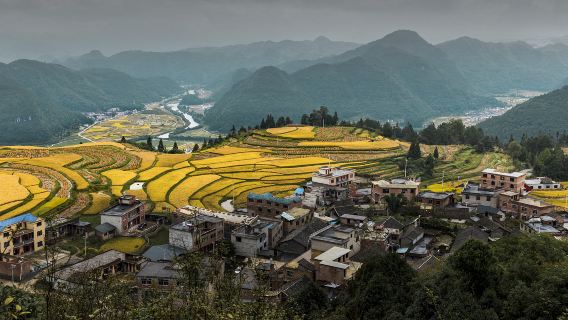 Lali Terraced Fields