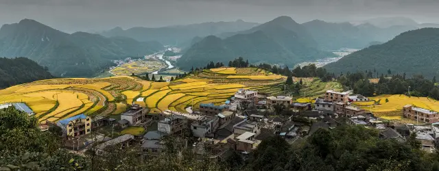 Guizhou Terraced Fields