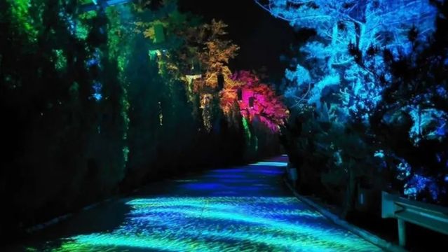 chang dao 《 meng xun xian shan 》 guang ying yan yi