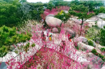 Top 4 Spring Outings in Shantou