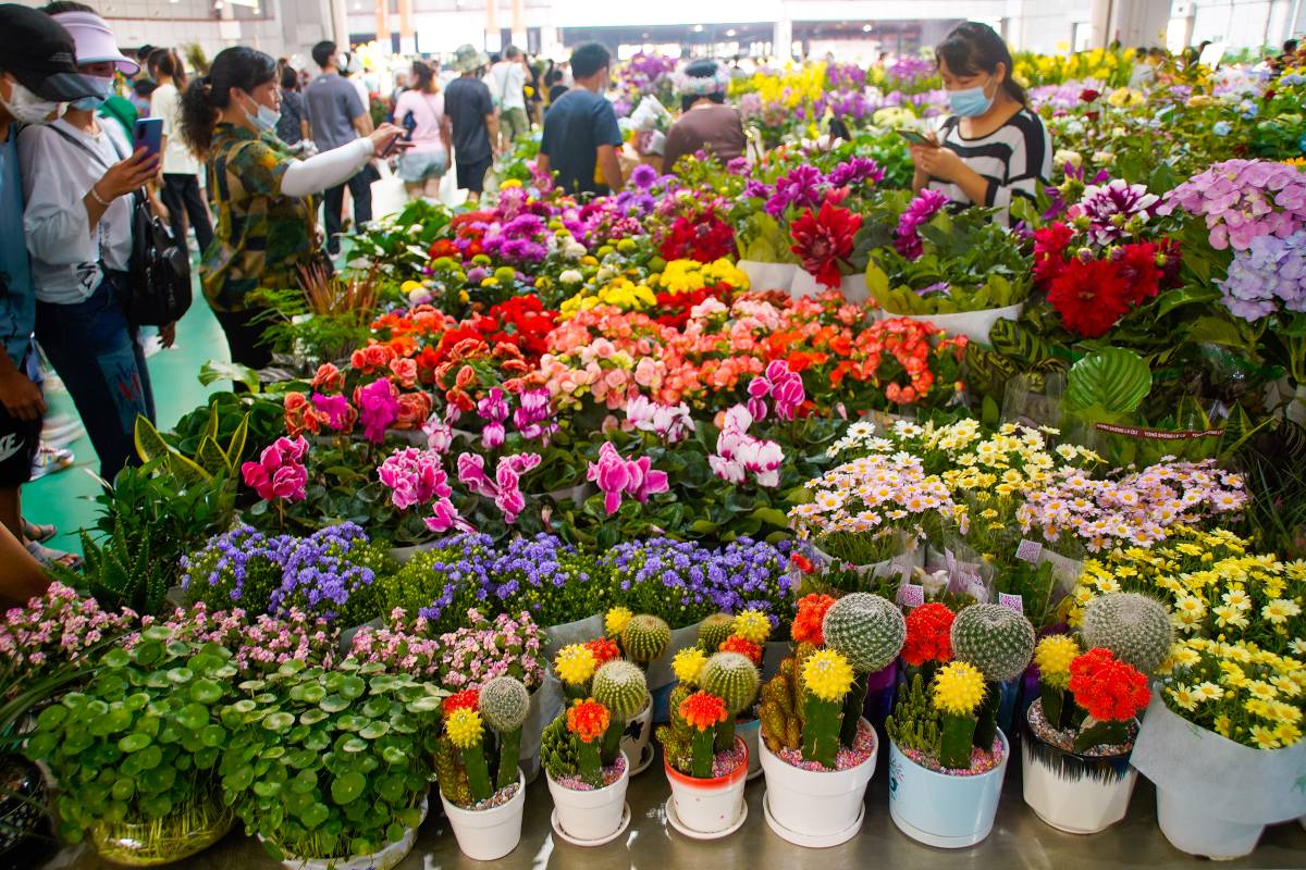 Dounan Flower Market