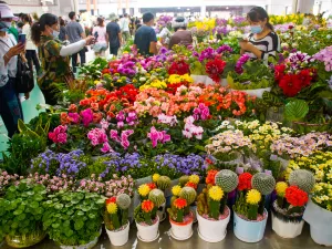 Dounan Flower Fair