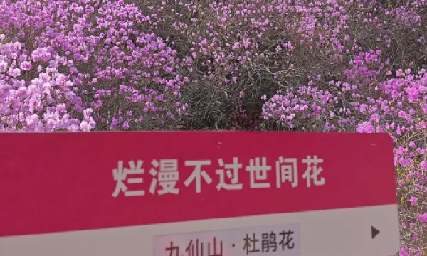 จุดชมวิวภูเขาจิวเซียน