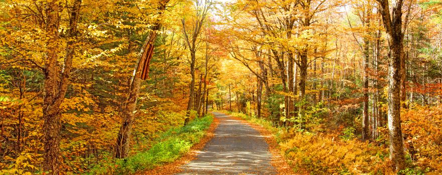 White Mountain National Forest