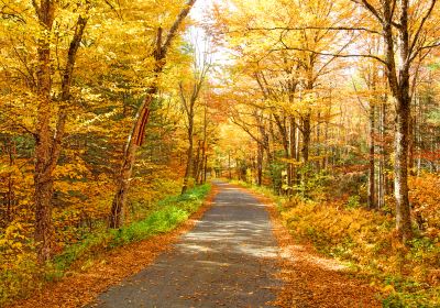 White Mountain National Forest