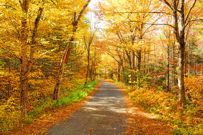 White Mountain National Forest