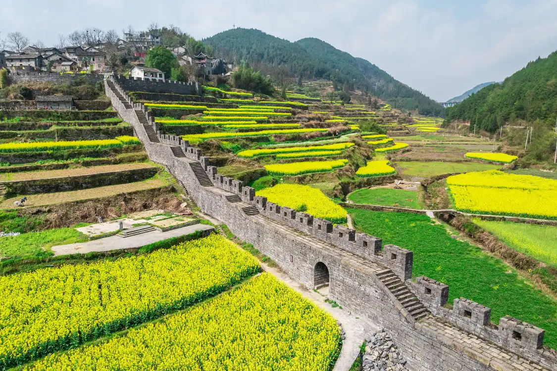 Hotel dekat Southern Great Wall