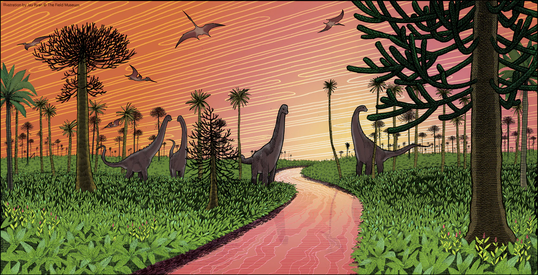 After the Age of Dinosaurs | Field Museum