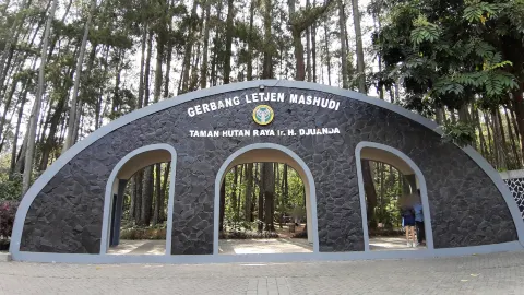 Taman Hutan Raya Ir. H. Djuanda attraction in West Java