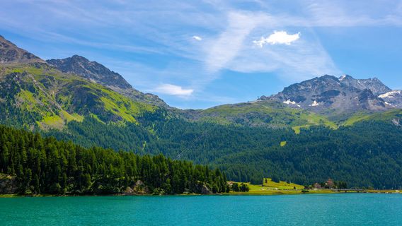 Lake Silvaplana