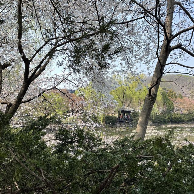 제니도 다녀간 벽초지 수목원