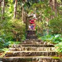 【屋久島】益救神社