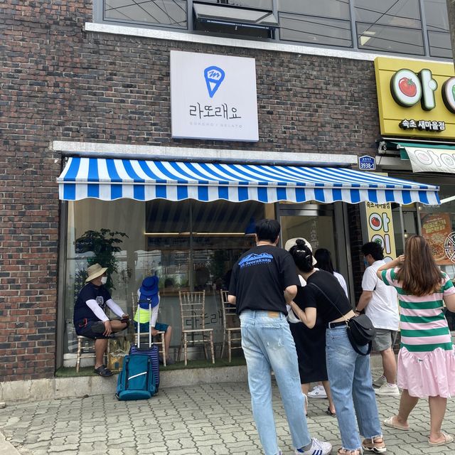 속초 찐 맛집 추천 ! 
