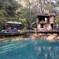 cafe no. 39 landmark of chiangmai