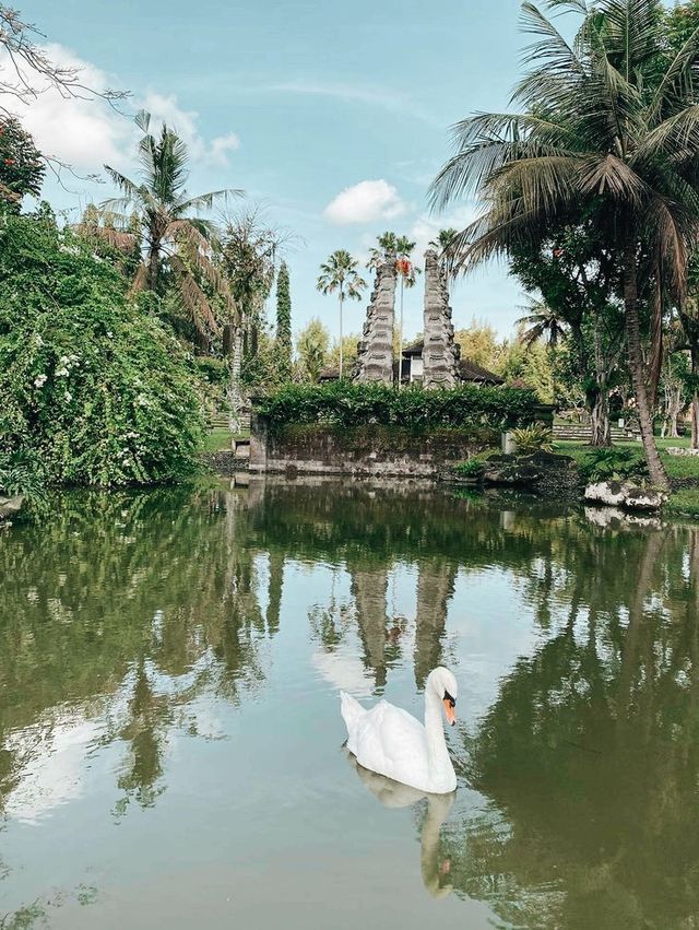 Sanctuary in Bali