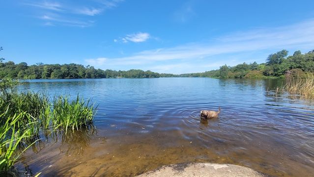 Virginia Water Lake Pavilion