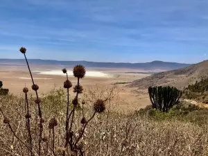 Ol Kinyei Conservancy