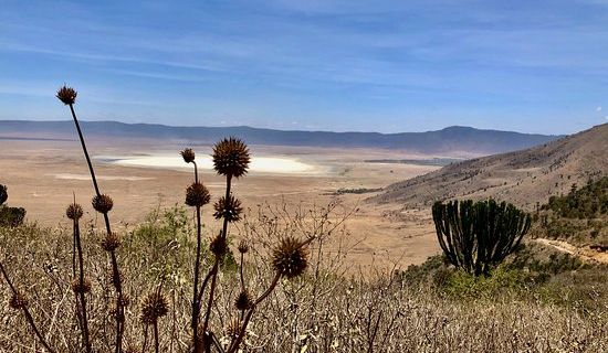 Ol Kinyei Conservancy