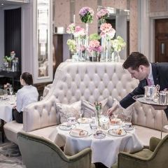 Palm Court User Photo