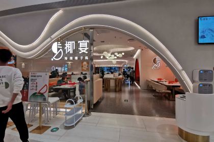 Ye yan · fa lang guo ye zi ji (min jie guang chang dian)